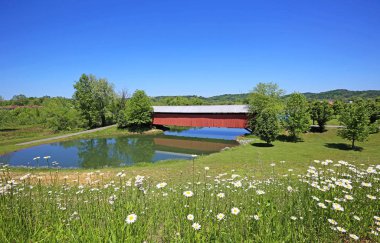 Milton, Batı Virginia Mud River Kaplı Köprü ile Panorama