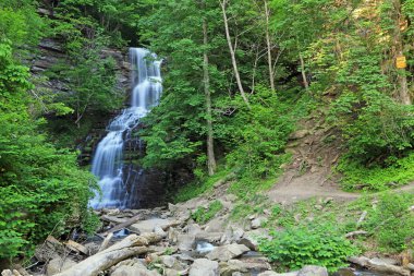 Cathedral Falls - Gauley Bridge, Batı Virginia'ya giden patika
