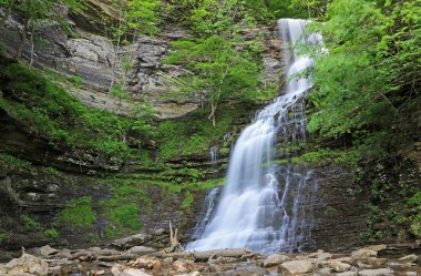 Uçurum ve Katedral Şelalesi - Gauley Köprüsü, Batı Virjinya
