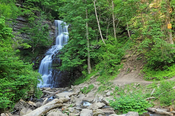 Cathedral Falls - Gauley Bridge, Batı Virginia'ya giden patika