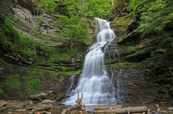 Cathedral Falls - Gauley Bridge, Batı Virjinya manzarası