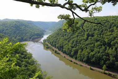 Şube altında Yeni Nehir - Hawks Nest State Park, Batı Virginia