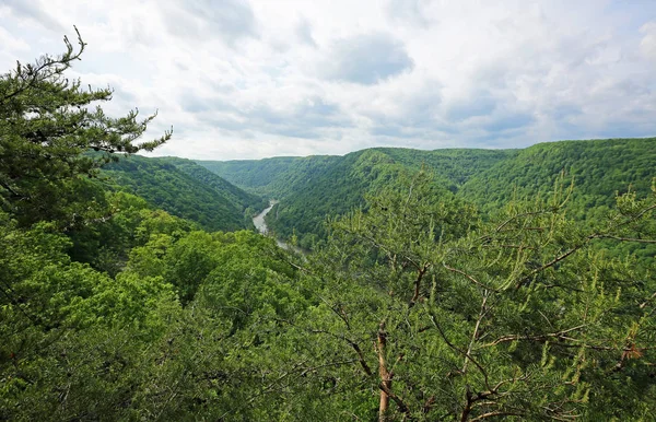 National forest of West Virginia - Hawks Nest State Park, West Virginia