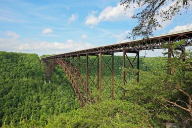 Köprü ve ağaçlar - New River Gorge Köprüsü - Batı Virjinya