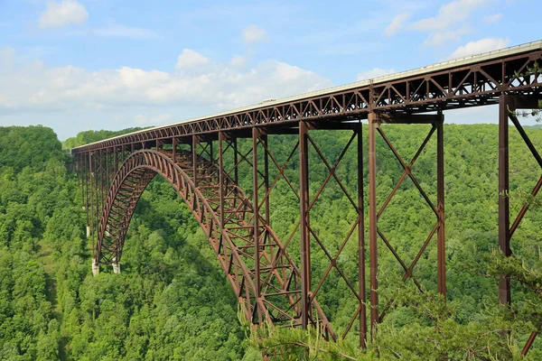 Ormandan yükselen kemer köprüsü - New River Gorge Bridge - Batı Virjinya