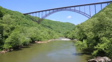 Köprü ve kuş - New River Gorge Köprüsü - Batı Virginia