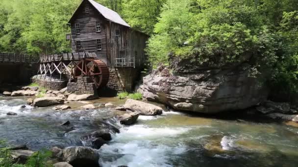 Babcock State Park Westvirginia — Stockvideo