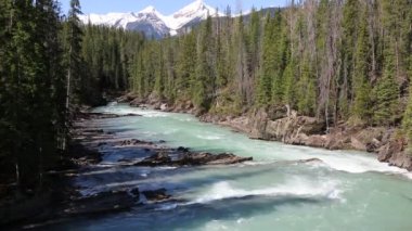 Yoho Milli Parkı, British Columbia, Kanada at nehir - tekme