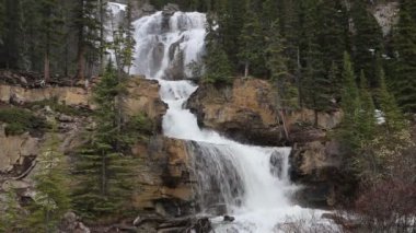 Tangle creek düşüyor - Banff Ulusal Parkı, Alberta, Kanada