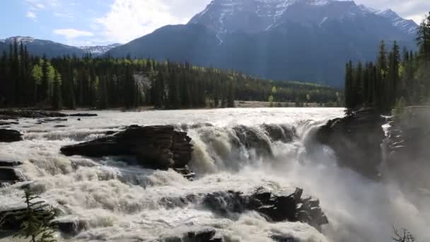 Paisaje Con Athabasca Falls Parque Nacional Jasper Alberta Canadá — Vídeos de Stock