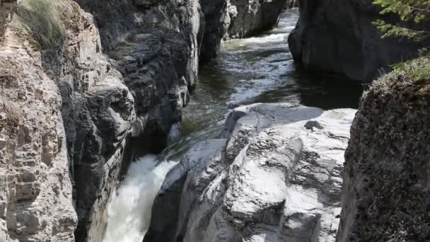 Maligne River Canyon Jasper Nationaal Park Alberta Canada — Stockvideo