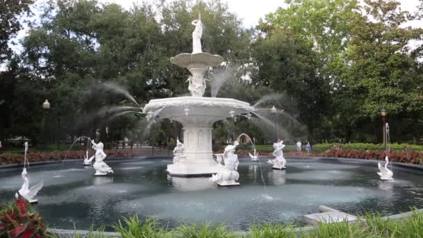 Fuente Forsyth Park Savannah Georgia — Vídeos de Stock