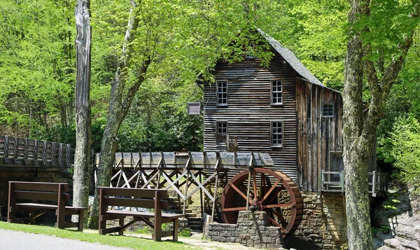 Grist Mill Mellan Träd Babcock State Park West Virginia — Stockfoto