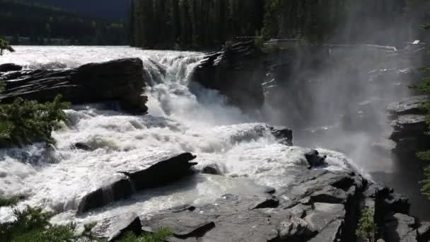 Athabasca Vodopády Jasper Alberta Kanada — Stock video