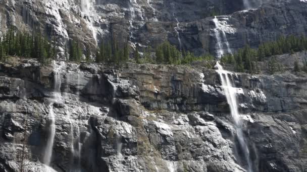 Weeping Wall Alberta Canadá — Vídeo de Stock