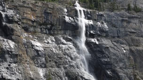 Waterfall Weeping Wall Alberta Canada — Stock Video