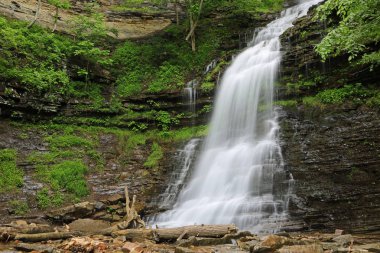 Cathedral Falls - Batı Virginia ünlü şelaleler