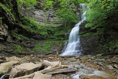 Cathedral Falls ile Manzara - Batı Virginia ünlü şelaleler