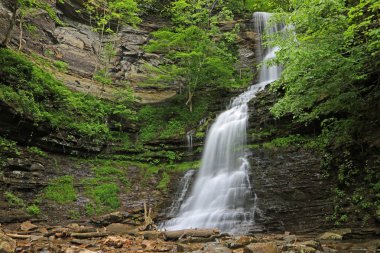 Uçurum ve Cathedral Falls - Batı Virginia ünlü şelaleler