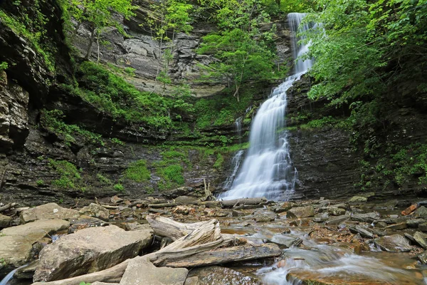 Tájkép Cathedral Falls Híres Vízesések Nyugat Virginia — Stock Fotó