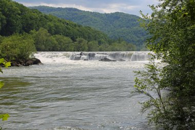 Yeşil arazide Yeni Nehir - Sandstone Falls Eyalet Parkı, Batı Virginia