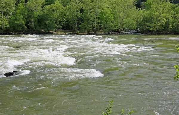 New River Stream Sandstone Falls State Park Δυτική Βιρτζίνια — Φωτογραφία Αρχείου