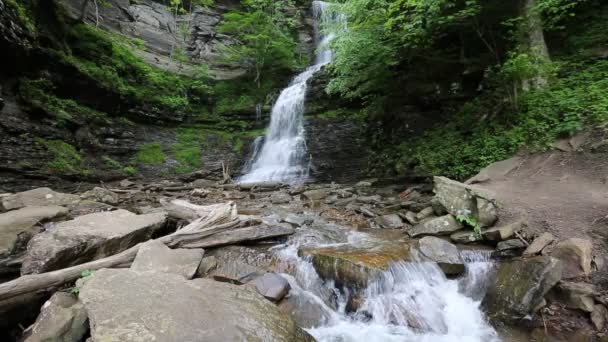 Paisaje Con Cataratas Catedral Virginia Occidental — Vídeo de stock