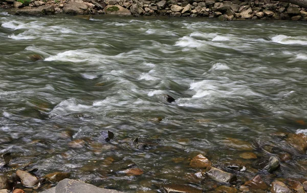 Ruisseau Brush Coulant Virginie Occidentale — Photo