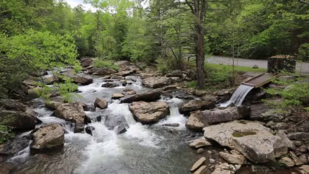 格拉德溪和道路 巴布科克州立公园 西弗吉尼亚州 — 图库视频影像