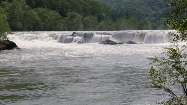 Sandstone Falls New River Valley Западная Вирджиния — стоковое видео