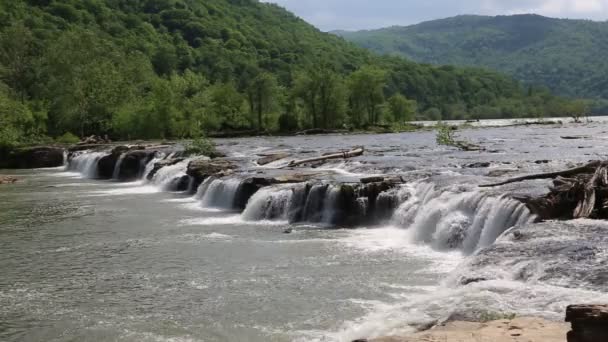 New River Daki Sandstone Şelalesi New River Vadisi Batı Virginia — Stok video