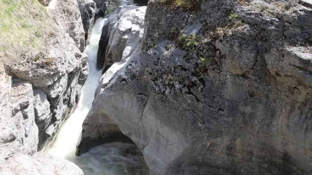 Maligne Creek Falls Jasper 加拿大 — 图库视频影像