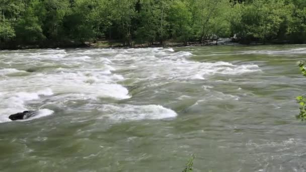 New River Vadisi Batı Virginia — Stok video