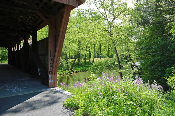 Bron Och Blommorna Hokes Mill Covered Bridge 1897 West Virginia — Stockfoto