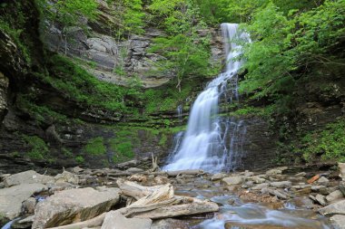 Katedral Şelalesi - Batı Virginia