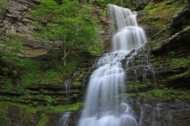 Cathedral Falls - Batı Virjinya