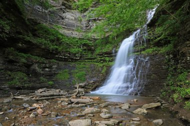 Katedral Şelaleli uçurum - Batı Virginia