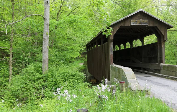 Trees Herns Mill Covered Bridge 1884 Западная Вирджиния — стоковое фото