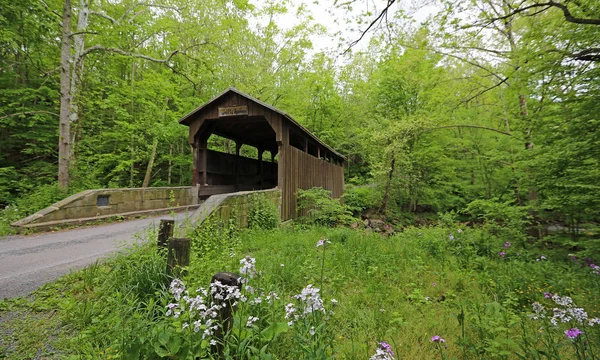 Spring Landscape Herns Mill Covered Bridge 1884 West Virginia — Stock Photo, Image
