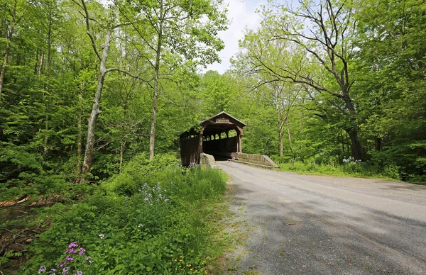 Landschaft Mit Herden Mühle Überdachte Brücke West Virginia — Stockfoto