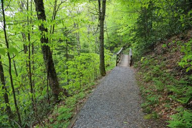 Yol ve köprü - Hills Creek, Batı Virginia