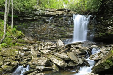 Batı Virginia 'daki Hills Creek' in Middle Falls manzarası