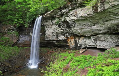 Hills Creek 'in Lower Falls' u, Batı Virginia