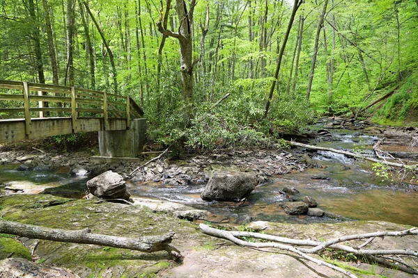 The bridge and Hills Creek, West Virginia