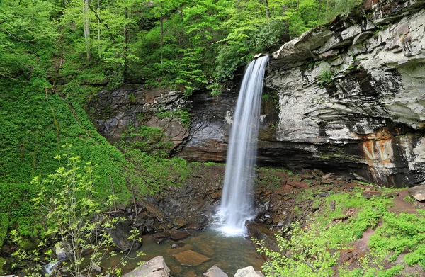 Paisaje Verde Con Lower Falls Falls Hills Creek Virginia Occidental — Foto de Stock