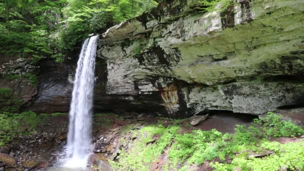 下の滝と石灰岩の崖 ウェストバージニア州 — ストック動画