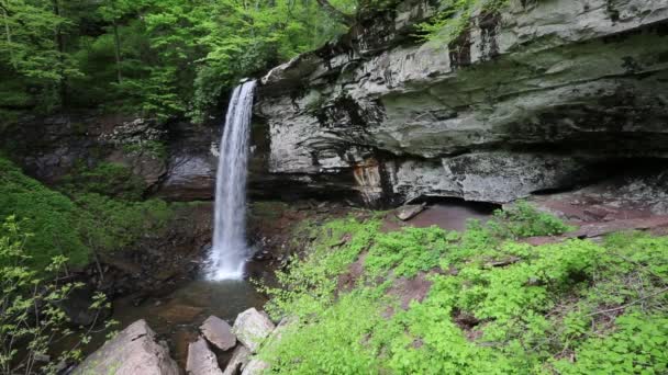 Landschaft Mit Niedrigeren Wasserfällen Von Hügeln Bach West Virginia — Stockvideo