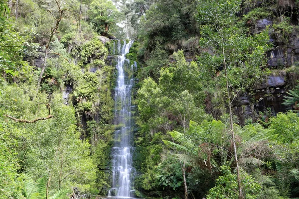 Erskine Falls Great Otway National Park Victoria Australia — 스톡 사진