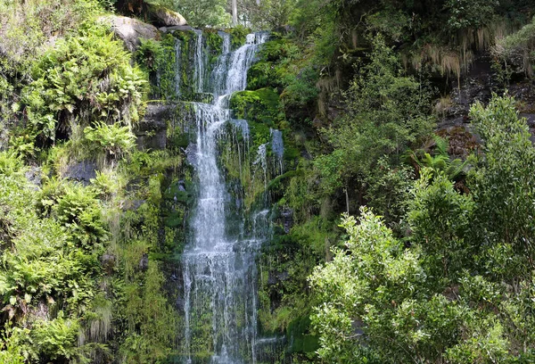 Cascadas Erskine Falls Victoria Australia — Foto de Stock