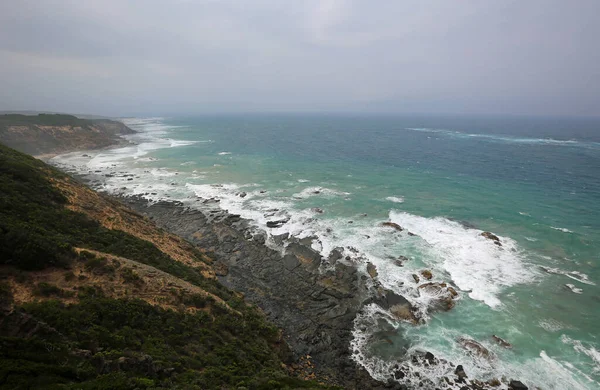 Otway Burnu Kıyısı Otway Burnu Ulusal Parkı Pasifik Kıyısı Victoria — Stok fotoğraf